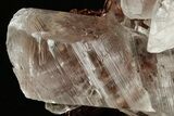 Glassy Selenite Crystal Cluster - Naica Mine, Mexico #372159-3